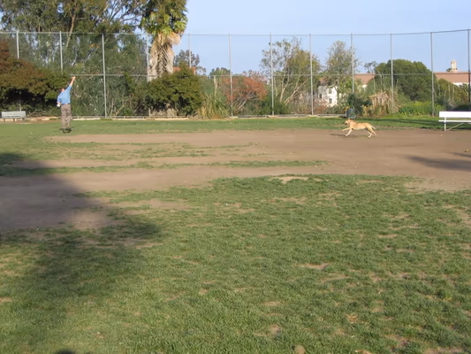 Dog Park at Veterans Barrington Park